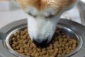 Perfecte paren voor droog hondenvoer